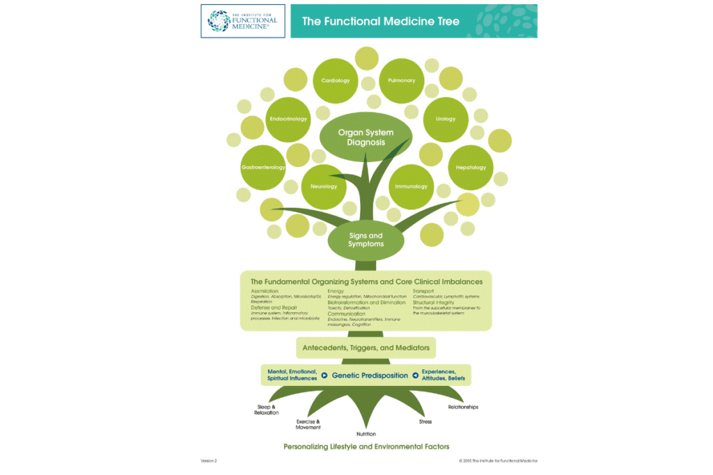 Personalized Nutritionist Creating Custom Meal Plans for Gut Health