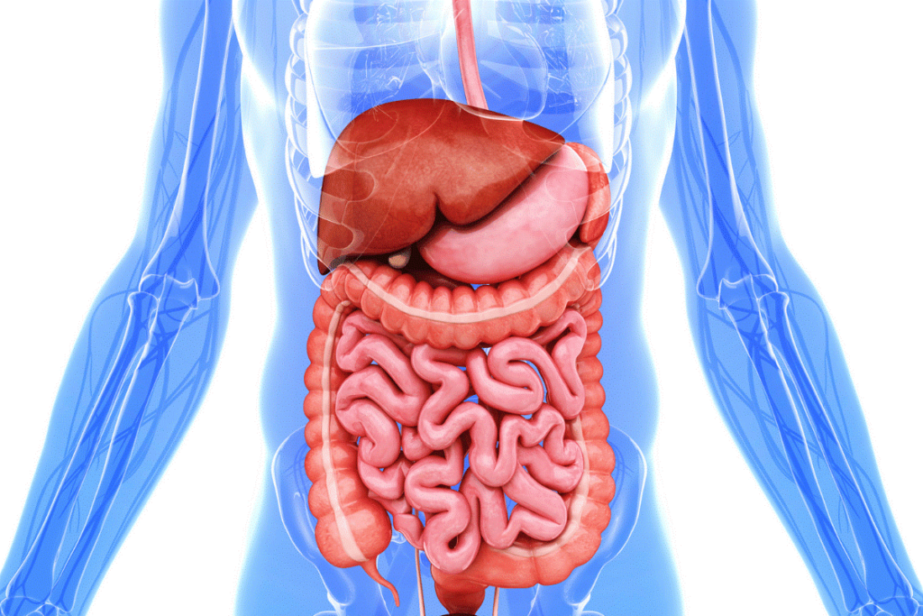 SIBO treatment nutritionist offering personalized gut healing plan