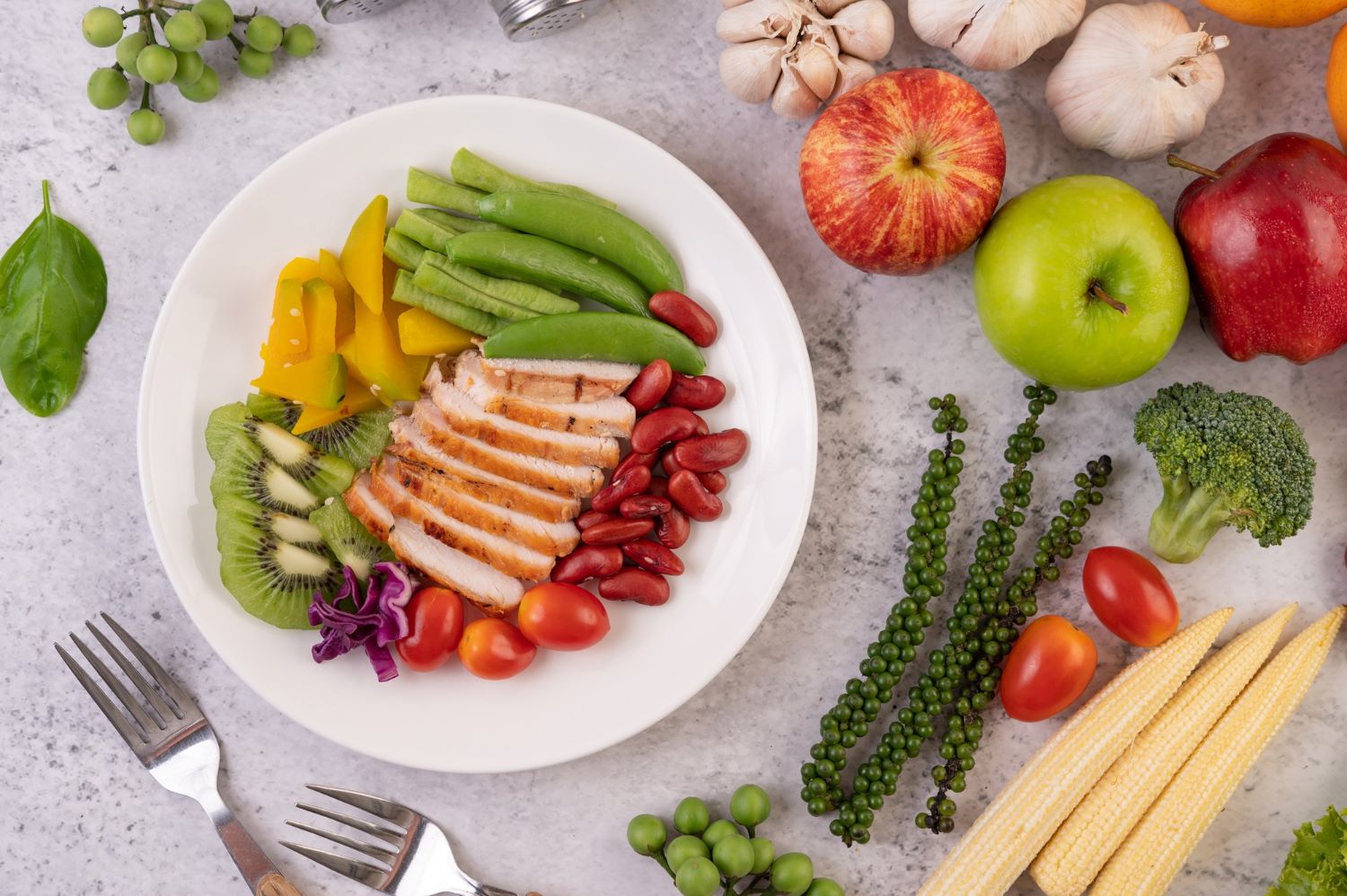 Gut Health for Beginners